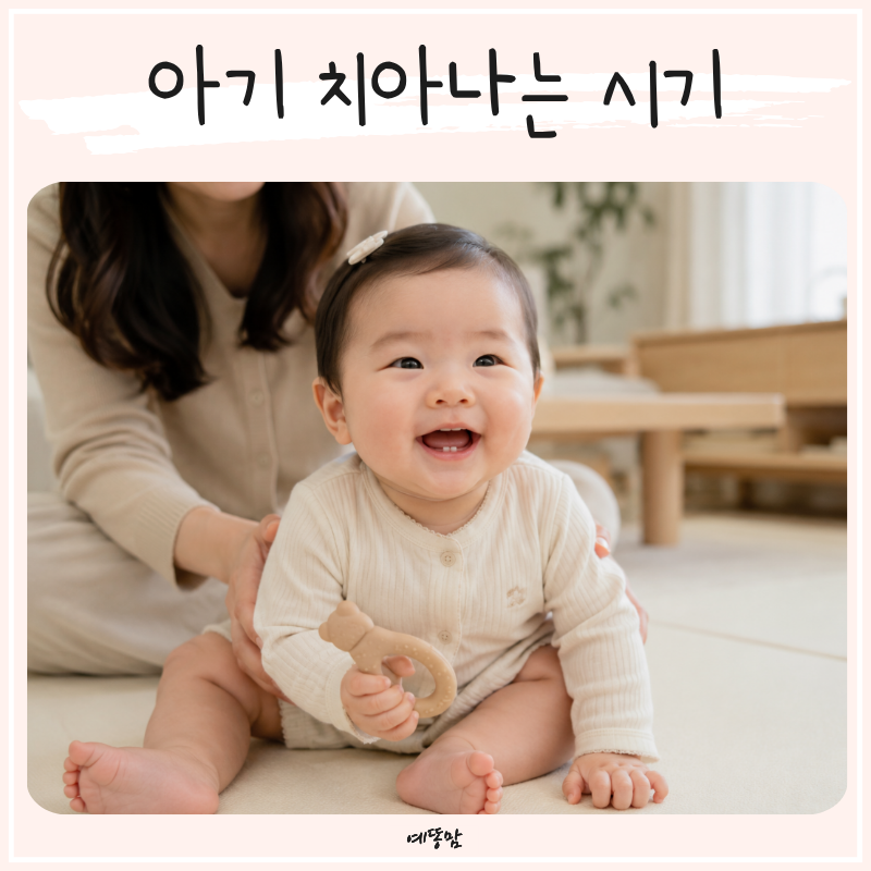신생아 아기 치아나는 시기 언제일까? 유아치아갯수와 치아우식증 예방법