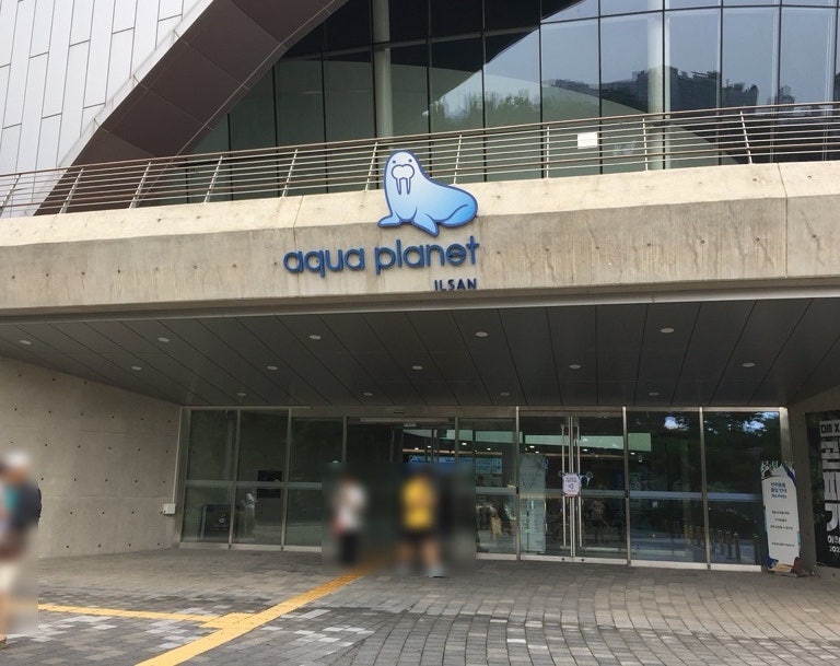 서울 근교 실내데이트 "아쿠아플라넷 일산점" 어른끼리 야무지게 놀고 온 후기