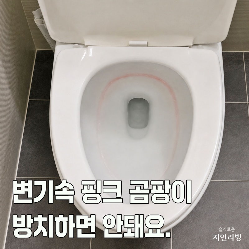 화장실 변기청소 다이소 꿀템