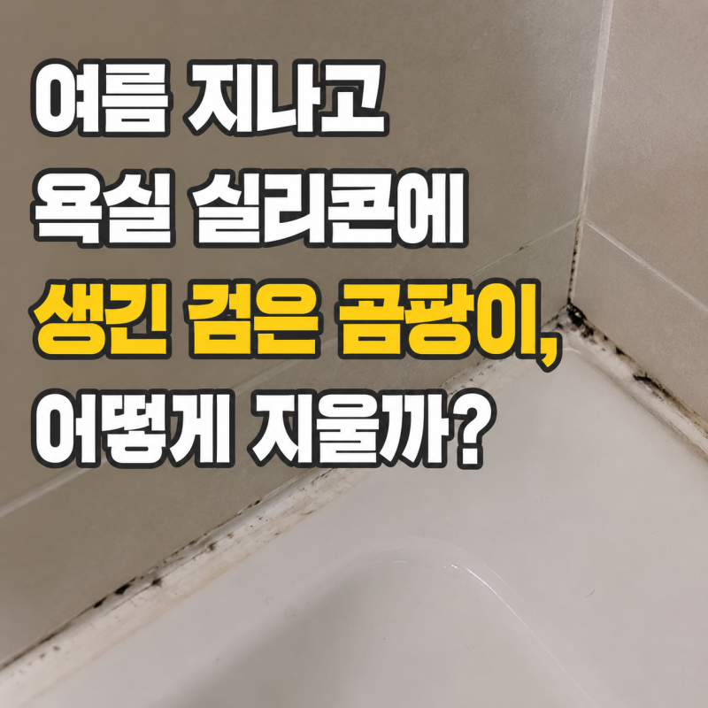 여름 지나고 욕실 실리콘에 생긴 검은 곰팡이, 어떻게 지울까?
