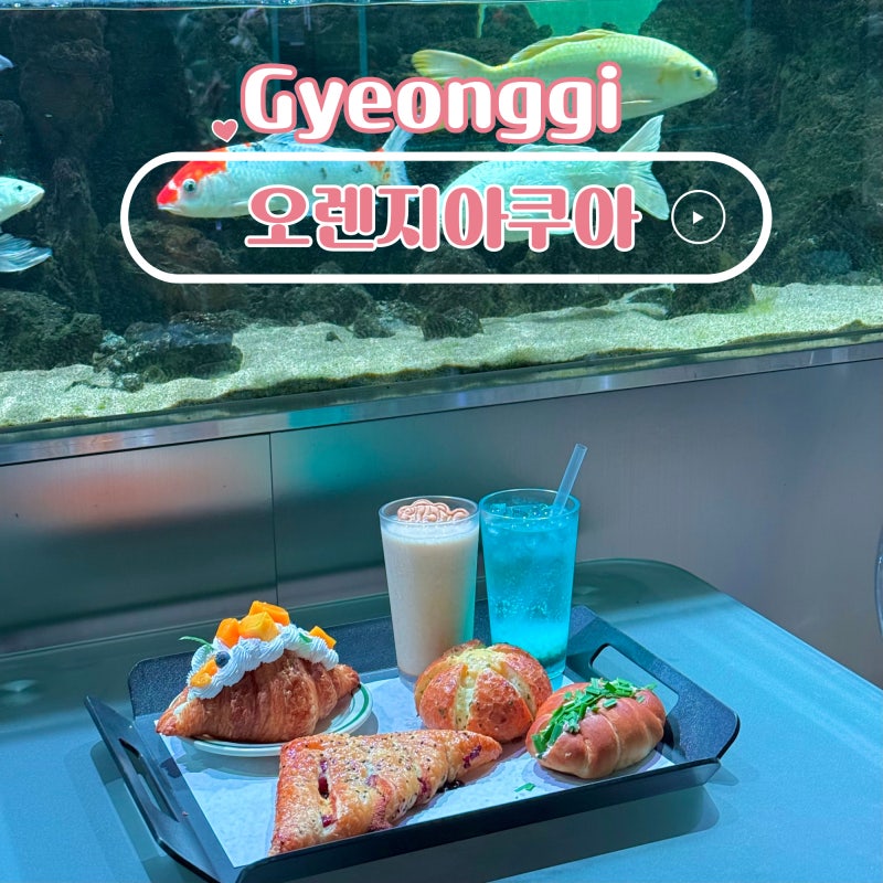 일산 오렌지아쿠아 커피 한잔으로 즐기는 아쿠아리움 카페