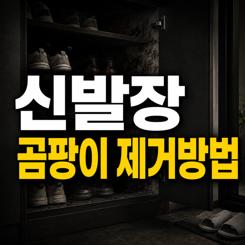 신발장 곰팡이 제거방법, 장마 끝났다고 방심하면 안 되는 이유