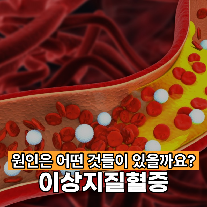 이상지질혈증 원인, 어떤 것들이 있을까요?