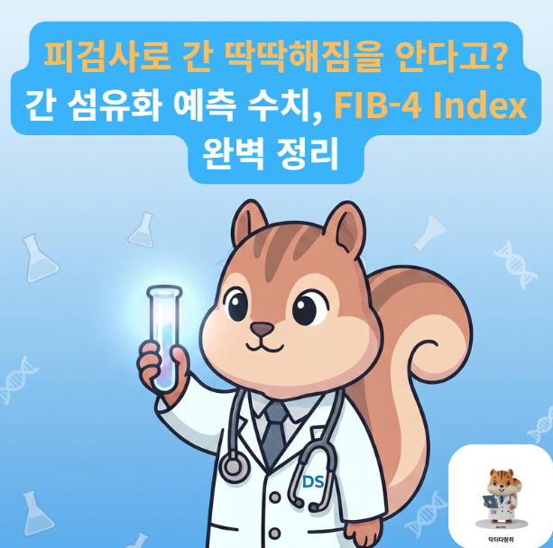 [전문의] 지방간에 술까지 즐긴다면? 간 섬유화 점수 FIB-4 Index 수치 완벽 해석 (진단검사 전문....