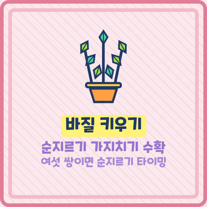 바질 키우기 순지르기 가지치기로 풍성하게 수확 보관방법까지