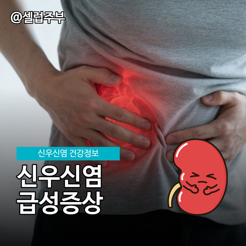 급성 신우신염 증상, 원인 입원 치료가 필요한 경우!