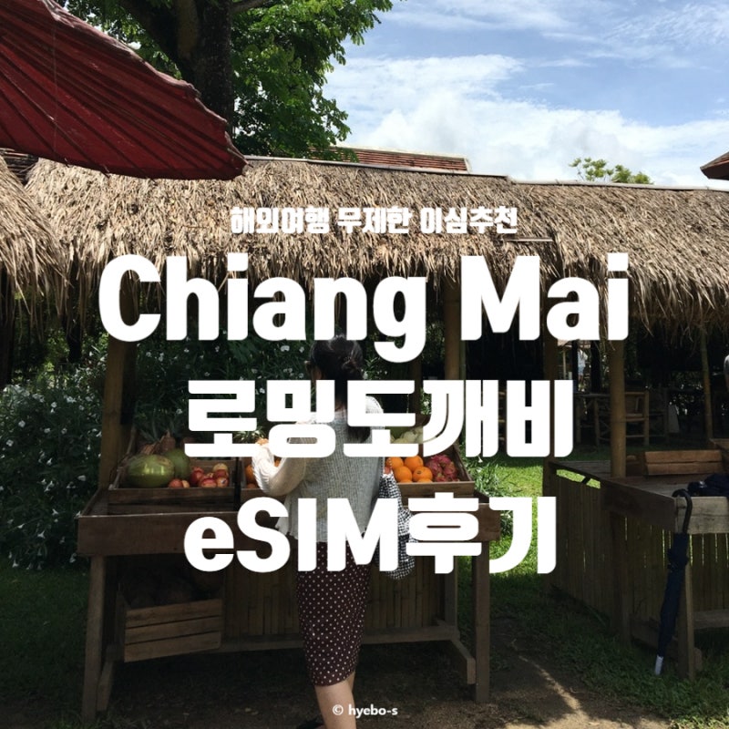 태국 이심 추천 치앙마이 이심 로밍도깨비 무제한 후기 도깨비이심 로깨비톡 8월 치앙마이 ....