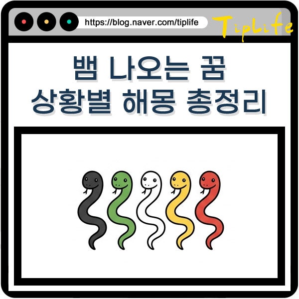 뱀 나오는 꿈 해몽 총정리 큰 작은 뱀 검은 녹색 뱀 색깔별 물리는 죽이는 장면 풀이