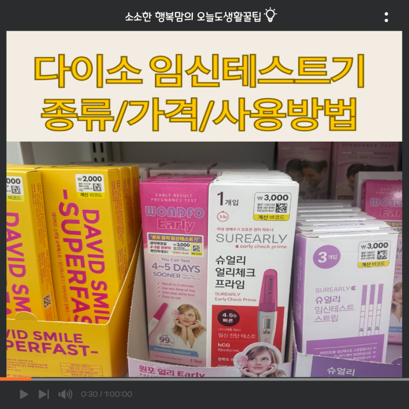 다이소 임신테스트기 종류 총정리! 가격부터 사용법까지