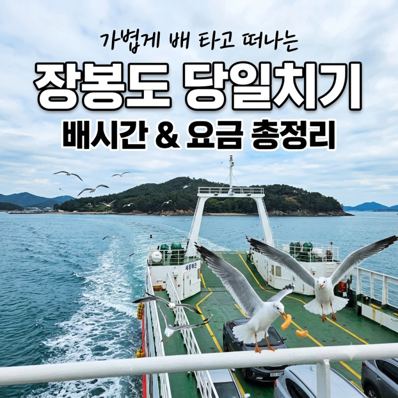 인천 당일치기 섬 여행 추천 | 장봉도 배시간표·요금 총정리 & 영종도 메이드림 카페