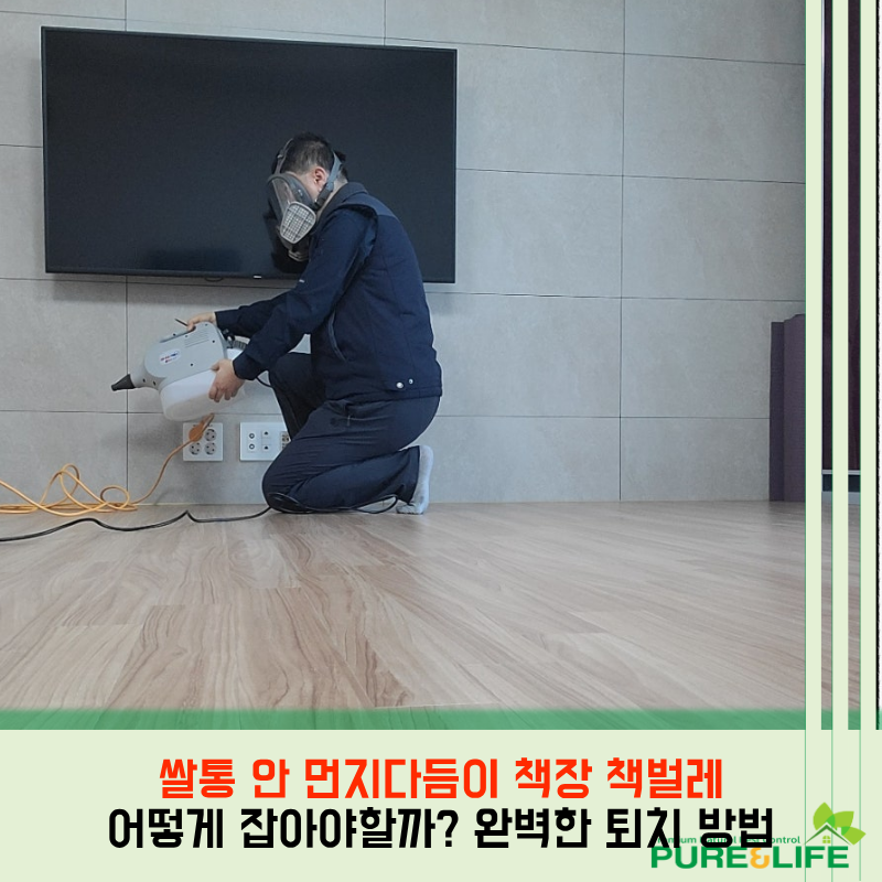 쌀통 안 먼지다듬이 책장 책벌레 계속 보인다면 어떻게 잡아야할까? 완벽한 퇴치 방법 알아....