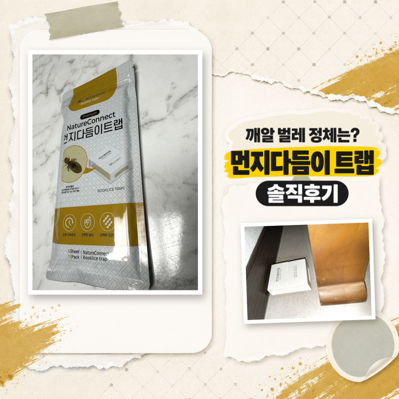 먼지다듬이 트랩 퇴치 솔루션 셀프 방역