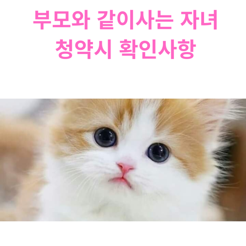 부모님 집에 같이 사는 자녀, 청약할 수 있을까? 세대분리부터 확인하세요