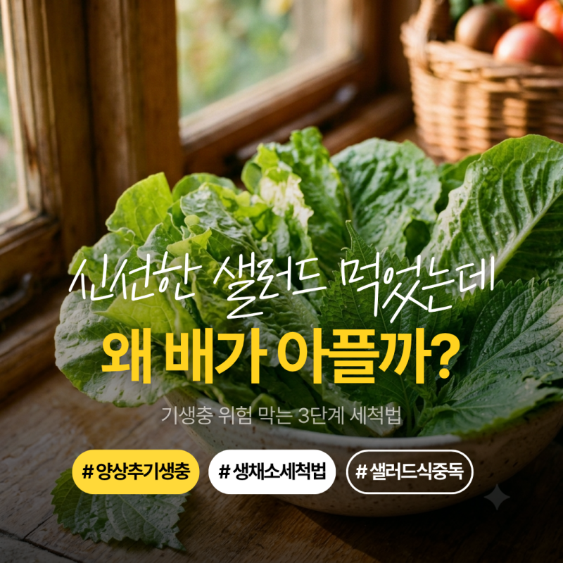 양상추 기생충, 샐러드 먹고 왜 배가 아플까? 생채소 세척법 3단계