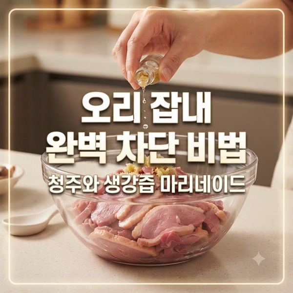 오리불고기 레시피! 잡내 없이 매콤하고 쫄깃하게 볶는 한식 비법