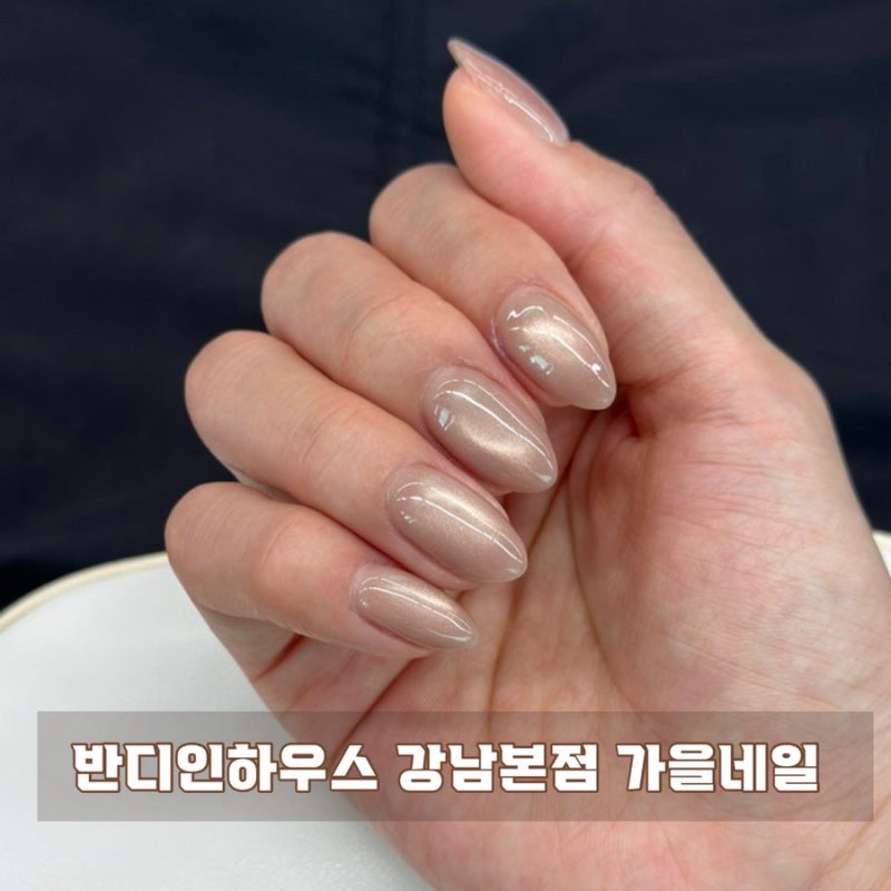 반디인하우스 강남본점 3번째 방문 가을자석네일 솔직후기
