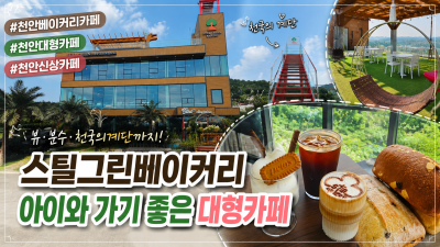 천안베이커리카페 추천, 넓은 주차장과 산&middot;논밭뷰가 좋았던 스틸그린베이커리