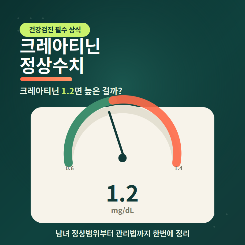건강검진 크레아티닌 정상수치｜크레아티닌 1.2면 높은 걸까?