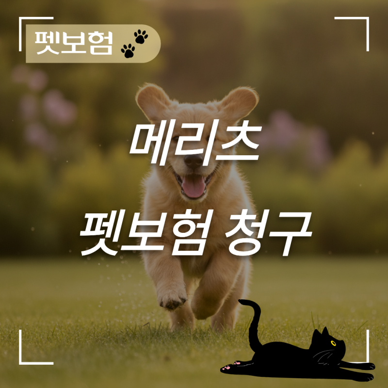 메리츠 펫보험 청구 서류 및 모바일 접수 방법, 병원비 30만원 손실 방지 꿀팁
