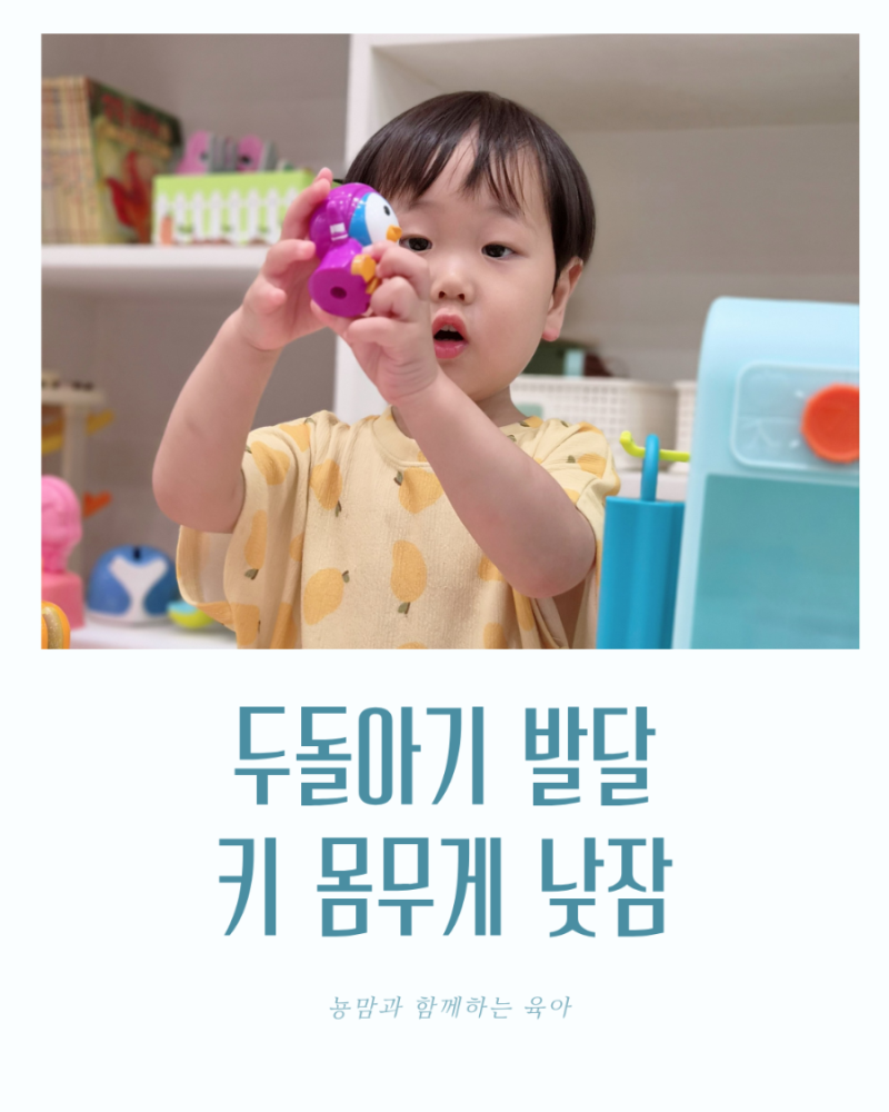 23개월 24개월 두돌아기 키 몸무게 발달 낮잠