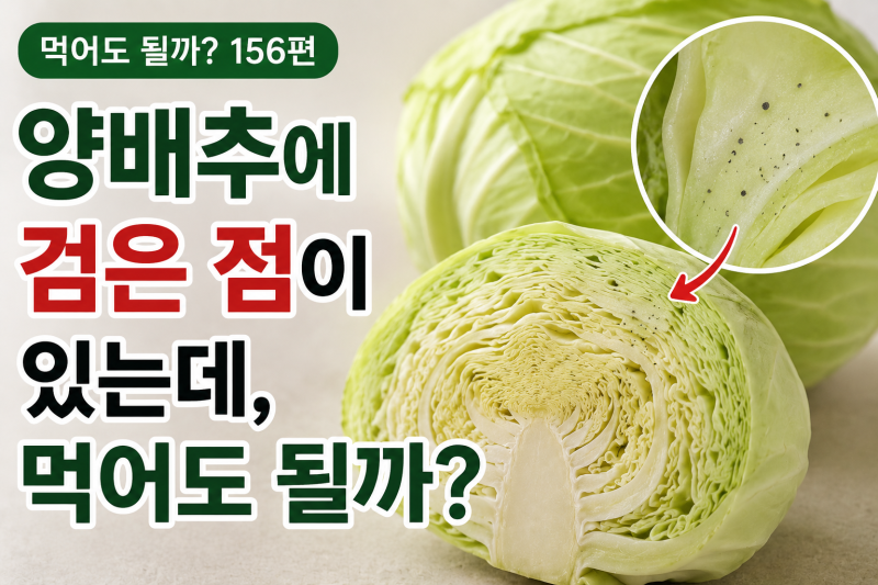 먹어도 될까? 156편 / 양배추에 검은 점이 있는데 먹어도 될까?