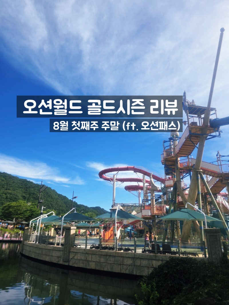 8월 첫째 주 주말 오션월드 골드시즌 방문 리뷰 (ft. 오션패스)