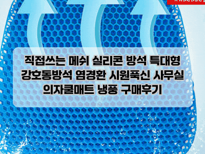 직접쓰는 메쉬 실리콘 방석 특대형 강호동방석 염경환 시원푹신 사무실 의자쿨매트 냉풍 구....