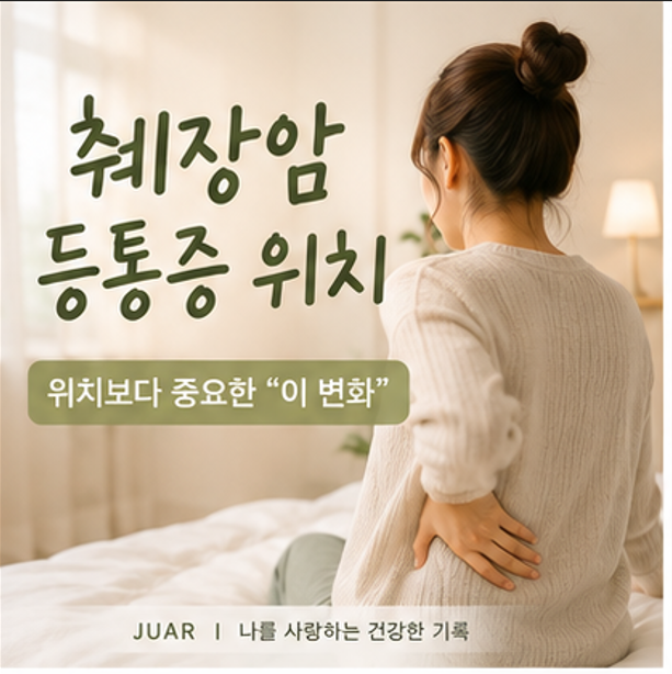 췌장암 등통증 위치부터 찾았는데… 알고보니 "어디가 아픈지"만 볼 게 아니었어요