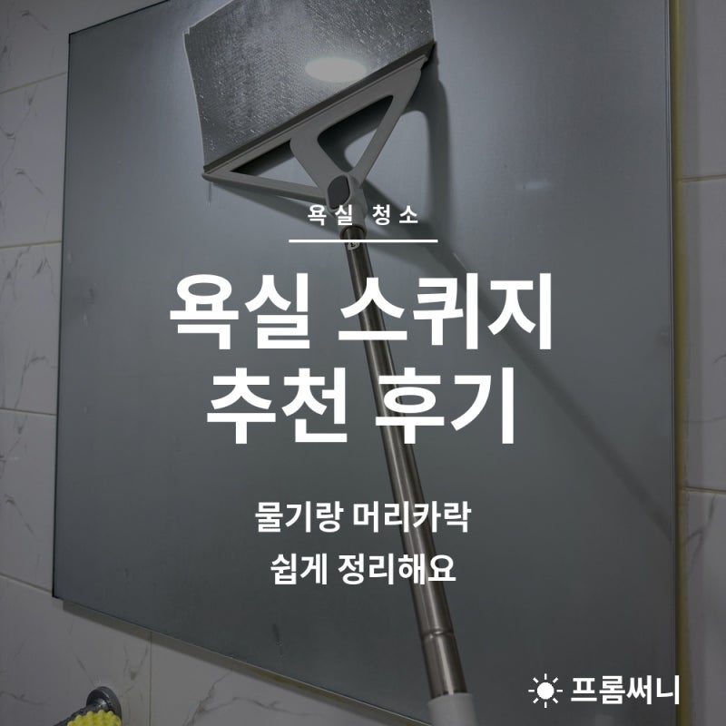 욕실 스퀴지 추천 후기 실리콘 빗자루로 물기랑 머리카락 정리해요