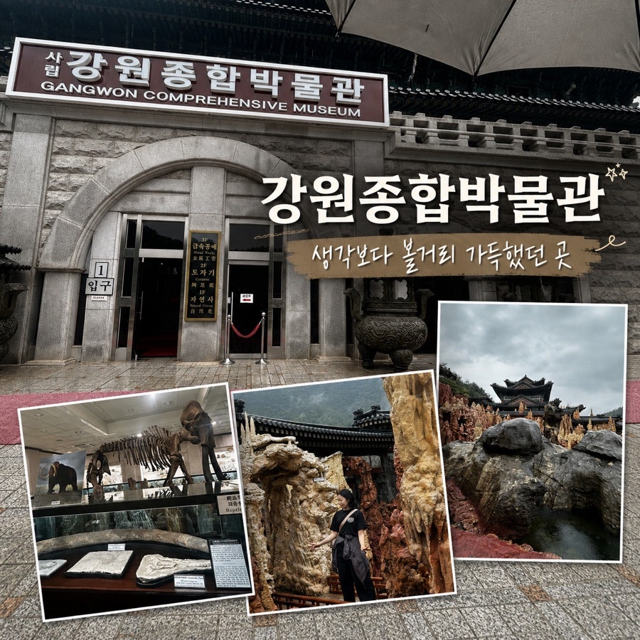 강원종합박물관 사진