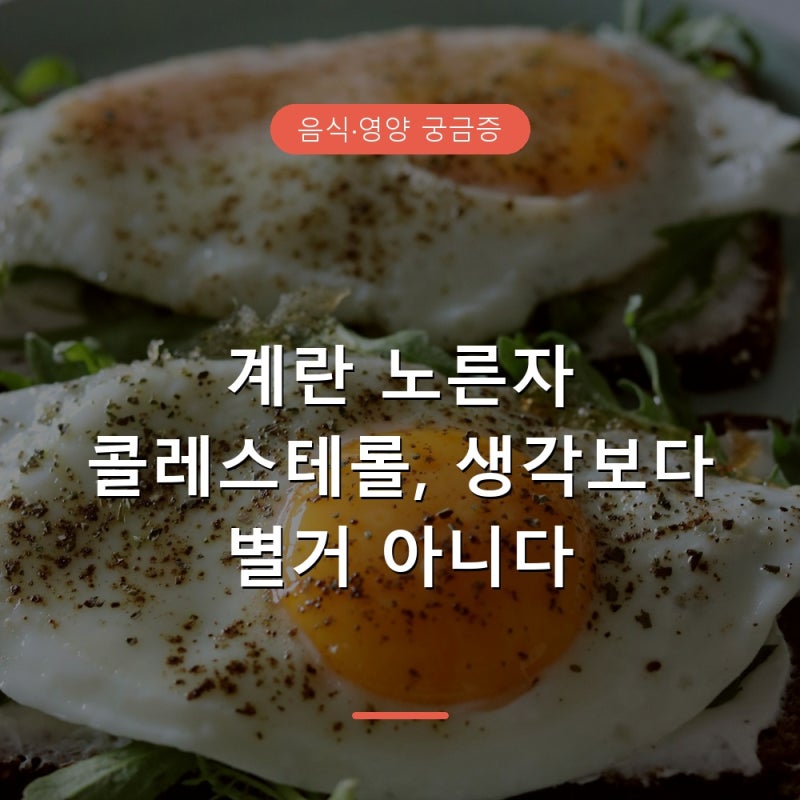 계란 하루 몇 개까지 먹어도 될까, 콜레스테롤 기준