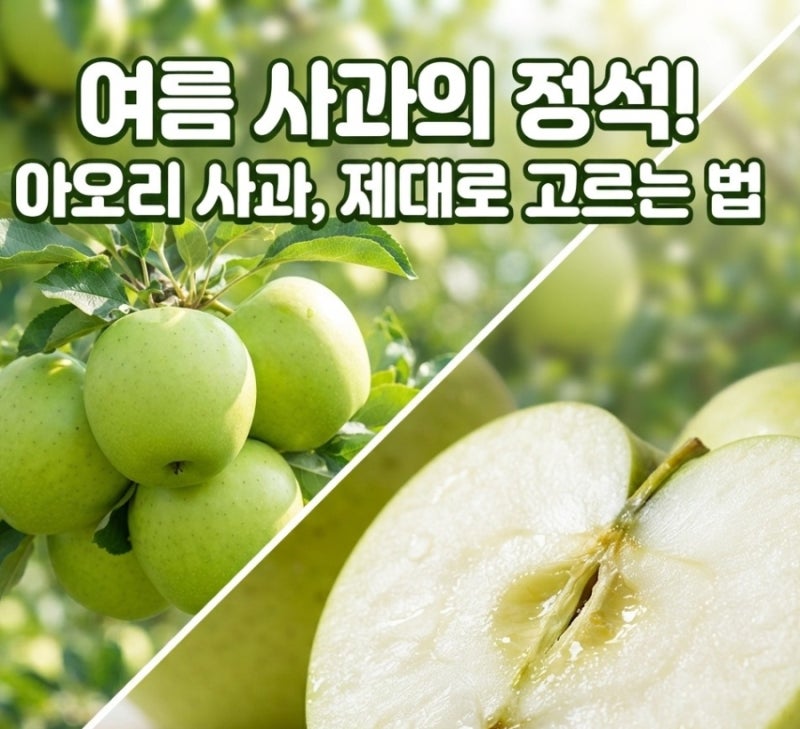 여름 사과의 대명사, 아오리(쓰가루) 사과 효능과 제대로 고르는 꿀팁!