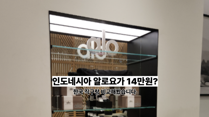인도네시아 알로요가 가격, 한국이랑 비교했더니… 직구가 답이었습니다