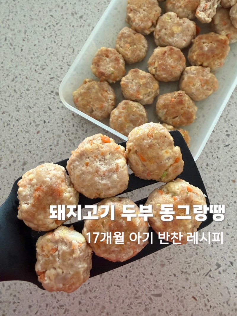 17개월 아기 반찬 돼지고기 두부 동그랑땡 만들기