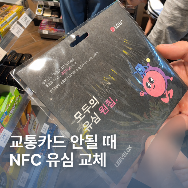 삼성월렛 교통카드 안될 때 | NFC 유심 모두의 원칩 교체