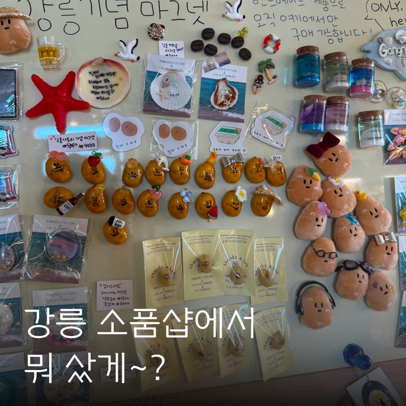 강릉여행 소품샵 투어 로컬포레스트 라라의안목 잇츠안목 안목역선물상점