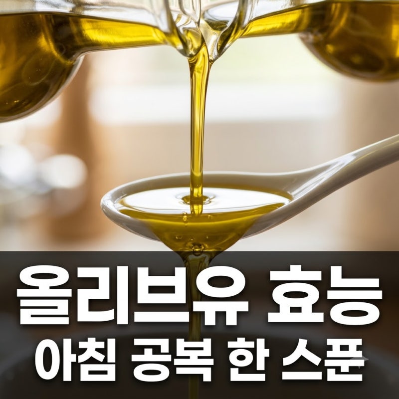 올리브유 효능 아침 공복 1스푼의 변화와 엑스트라버진 고르는 법