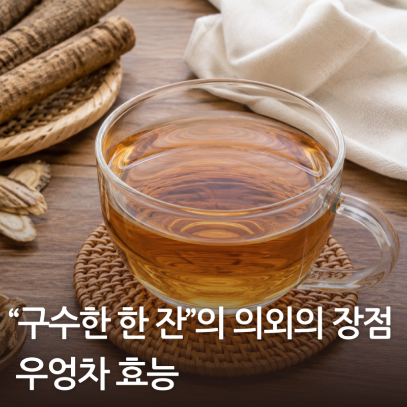 우엉차 효능 "구수한 한 잔" 의외의 장점