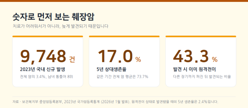 췌장에 안 좋은 음식 7가지, 하룻밤 만에 췌장염을 부르는 습관이 있다고??