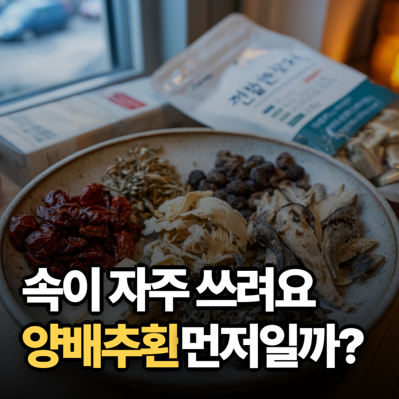 "속쓰림이 잦아졌다면" 양배추환효능, 위에 좋다고 먼저 먹으면 안 되는 이유