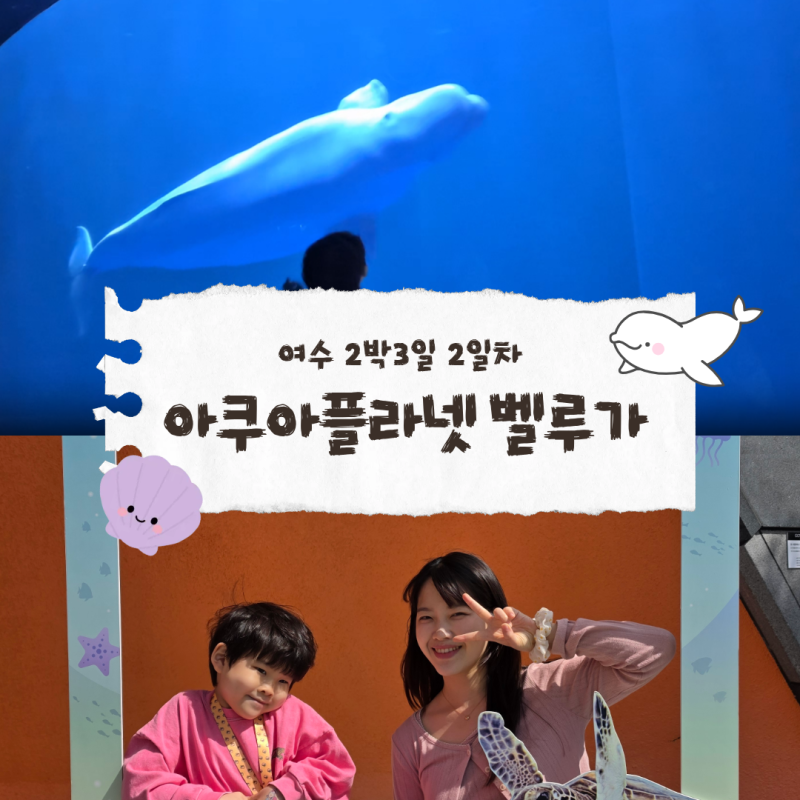 여수 아쿠아플라넷 벨루가 후기｜아이와 함께한 2박3일 가족여행 2일차
