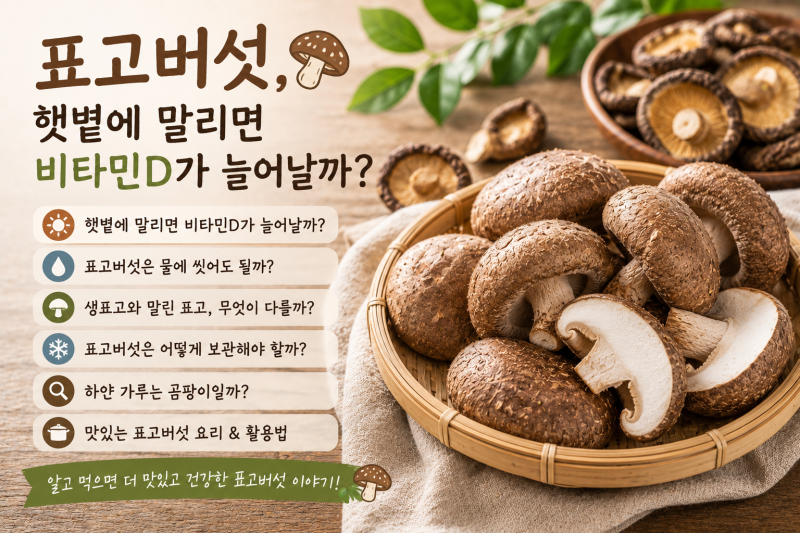 표고버섯, 햇볕에 말리면 비타민D가 늘어날까? 씻으면 맛이 빠질까?