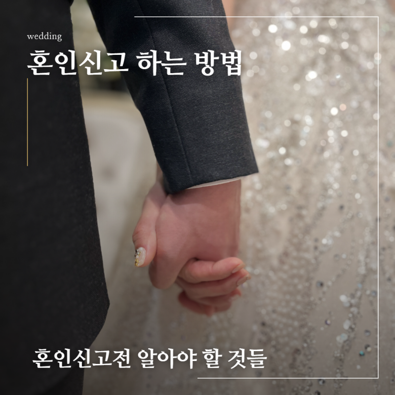 혼인신고하는 법, 혼자 가도 될까? 준비물부터 증인·주말 접수까지 총정리