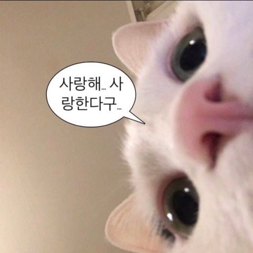 [ 웅니들 봐바 4 ] [ 내돈내산 ] 올리브영 루나 컨실러 / 몇통째 쓴 솔직후기 & 200% 활용 꿀 TIP ....