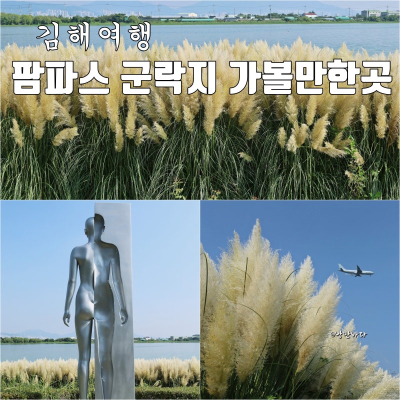 김해 가볼만한곳 팜파스그라스 군락지, 불암동 드라이브 코스 위치·주차 팁