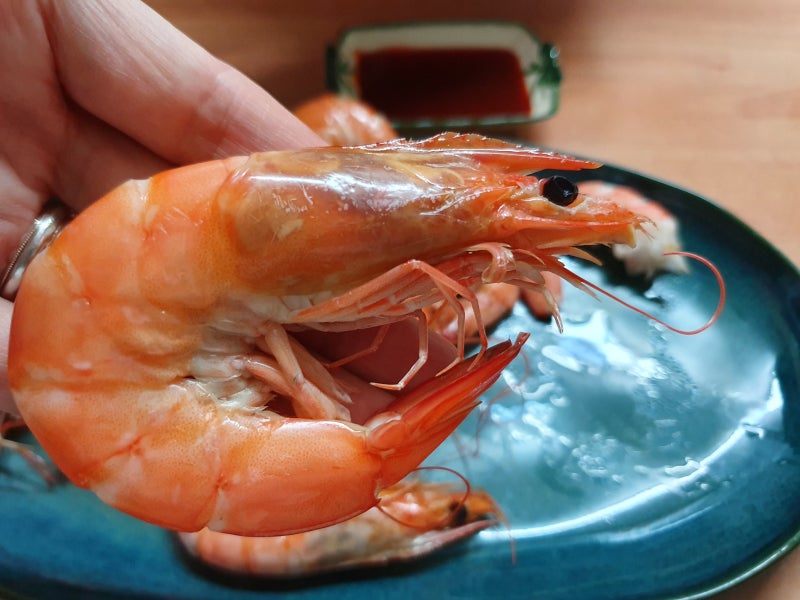 대하 흰다리새우 구별법 차이 맛있게 먹는 손질방법