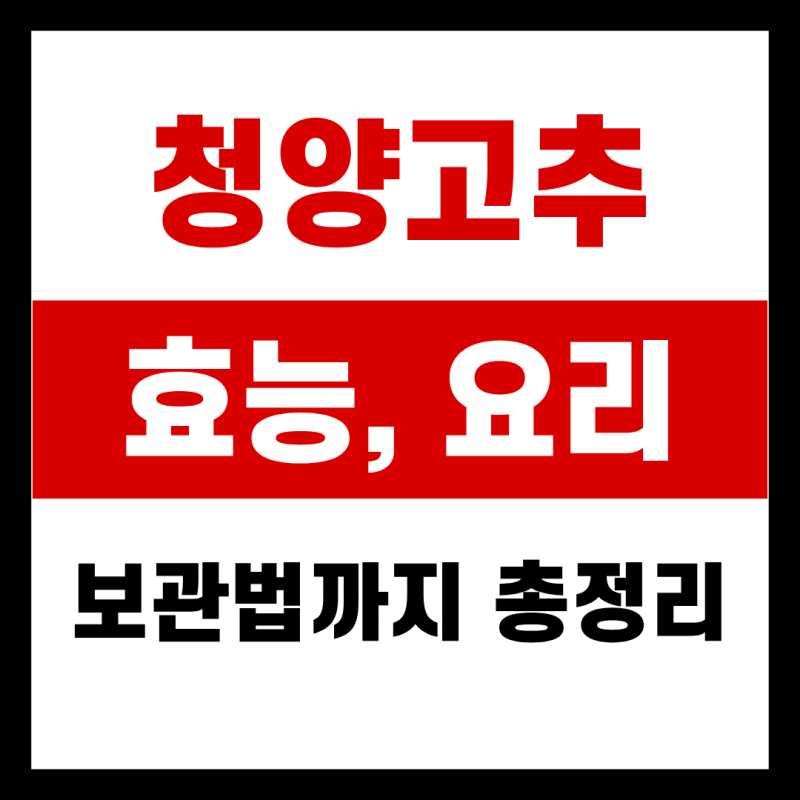 청양고추 효능, 요리, 보관법까지 총정리