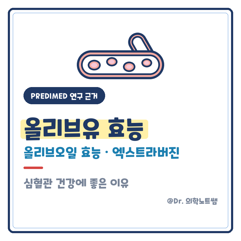 올리브유 효능 올리브오일 효능 엑스트라버진 심혈관 건강 하루 섭취량