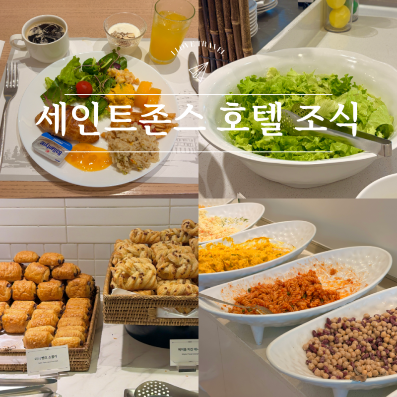 강릉 세인트존스호텔 조식 가격 꿀팁 애견동반 후기 먼저 확인하세요!