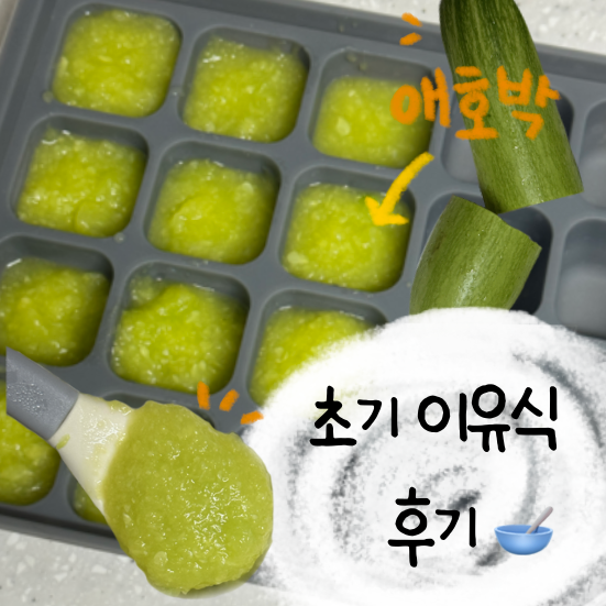 170일 이유식 식단 │ 초기 이유식 애호박 후기